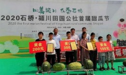 吃瓜爆料每日大赛最新动态 吃瓜爆料短剧吃瓜爆料大赛每日聚集地,每日热点聚集，短剧盛宴来袭！